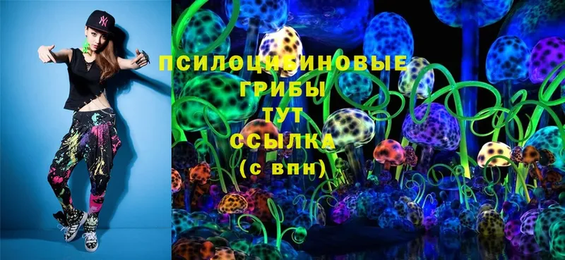 Псилоцибиновые грибы Psilocybe  сколько стоит  Санкт-Петербург 